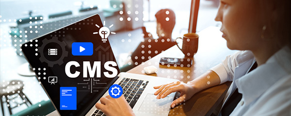 CMS Website Development