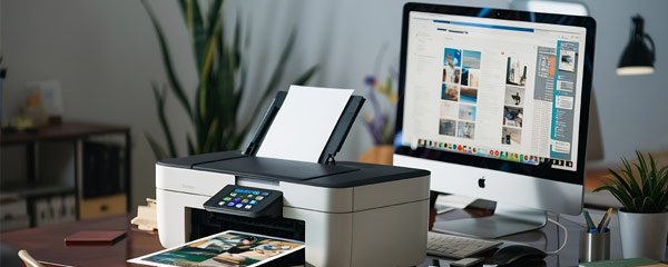 Print and Digital Creative Services