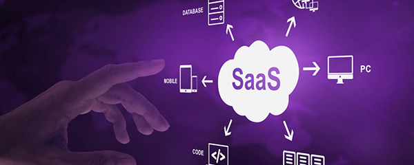 Third-Party API Integration