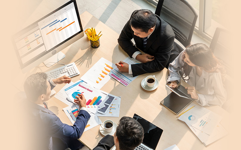 banner software development