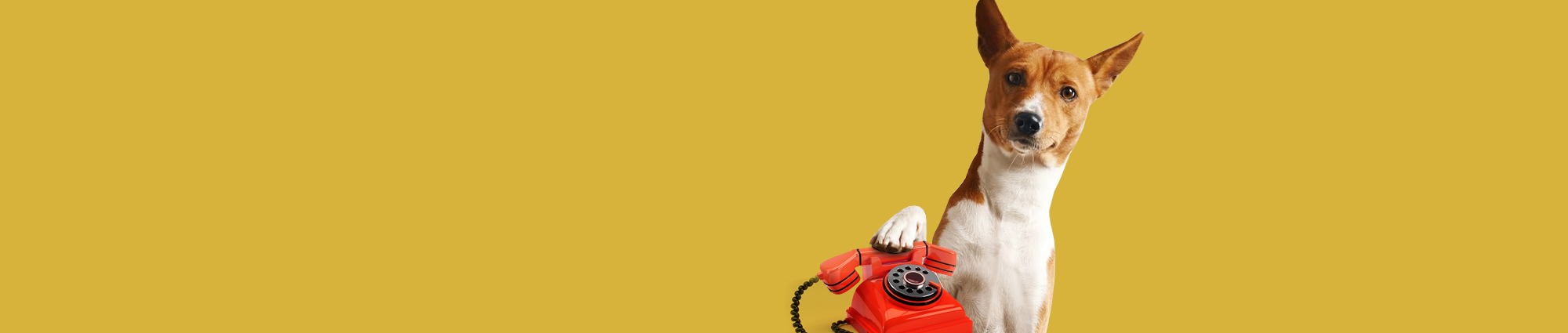 Enterprises Contactus