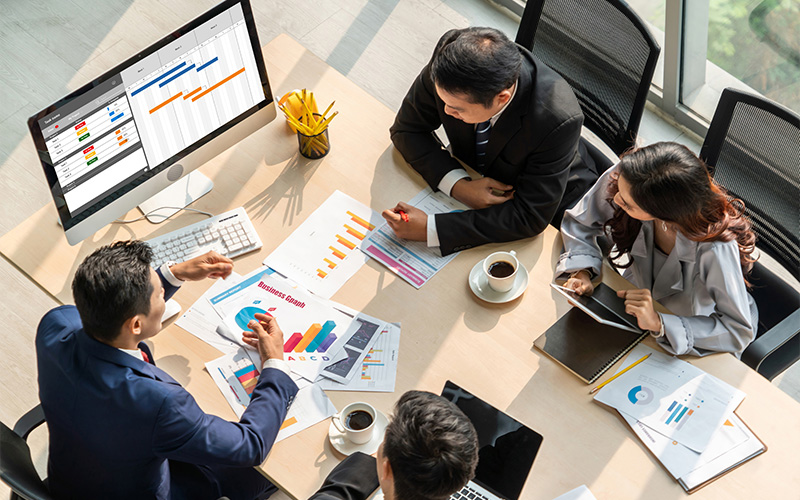 PMO Consulting Services