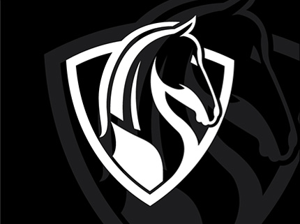 portfolio-img